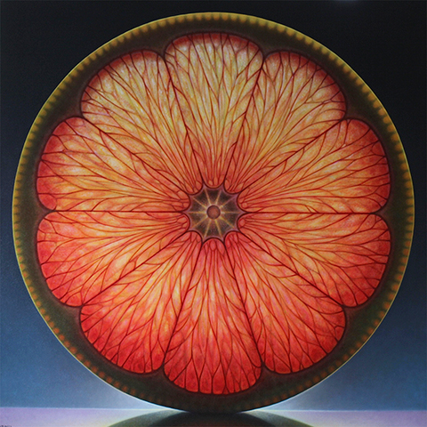 Rosette Series #27