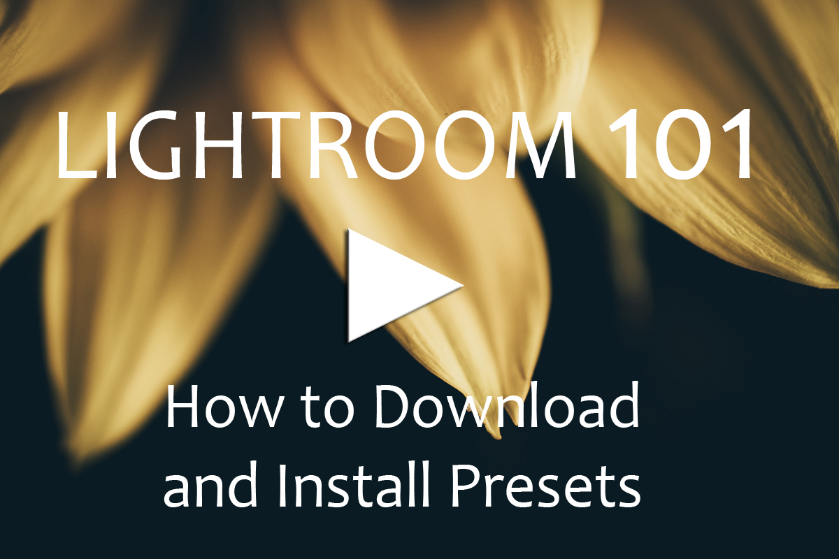 How to Download and Install Presets