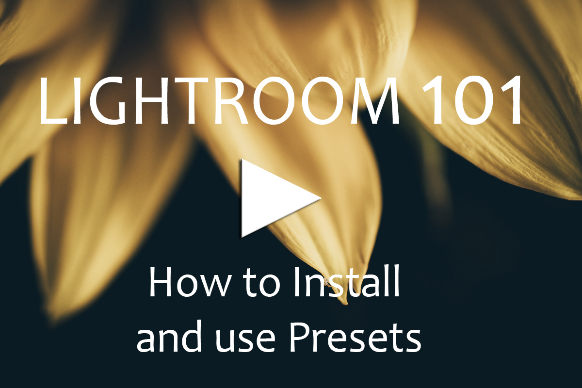 How to Install and use presets