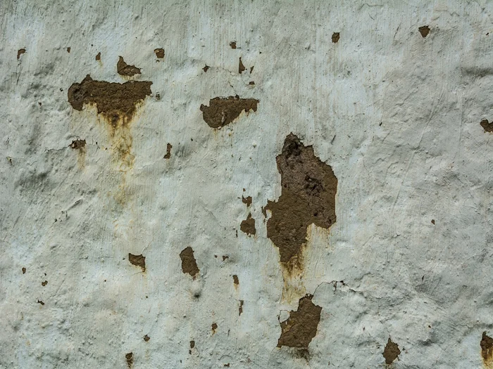 JPP_Textures-2_Small.jpg