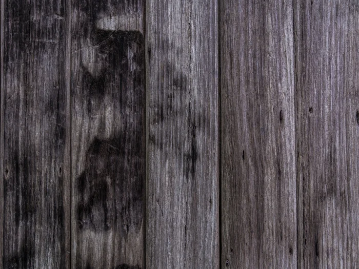 JPP_Dark Wood_Small.jpg