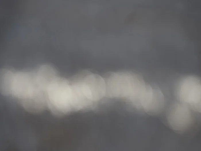 JPP_Bokeh_Small.jpg