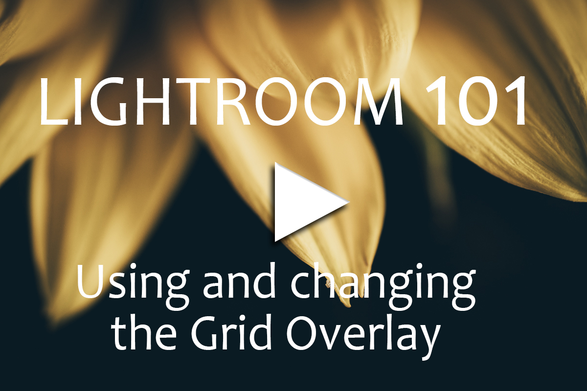 Lightroom 101 _Overlay Grid.jpg