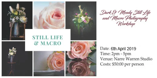 Dark &amp; Moody Still Life &amp; Macro Workshop