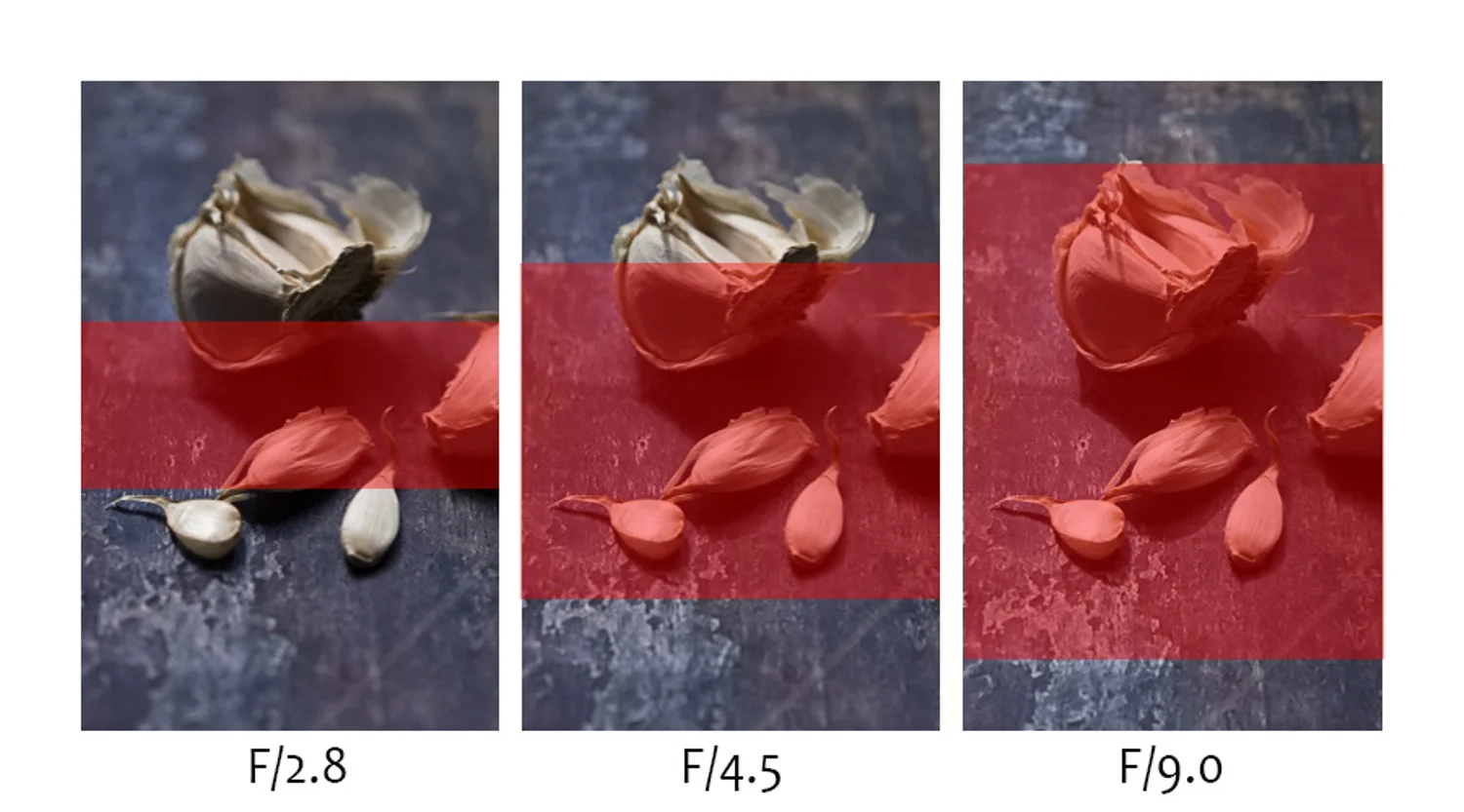 Plane of Focus.jpg