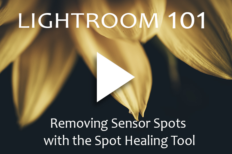 Removing Sensor Spots with Spot Healing Tool