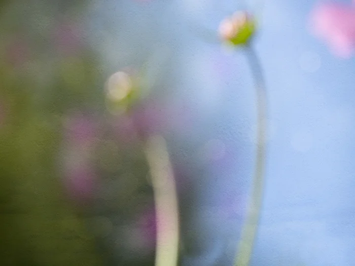 JuliePowell_Pretty Blue Green Bokeh_Small.jpg