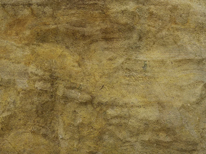 JuliePowell_StoneAllum_Small.jpg
