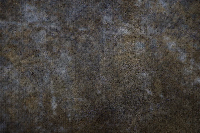 JuliePowell_Speckled Highlights_Small.jpg