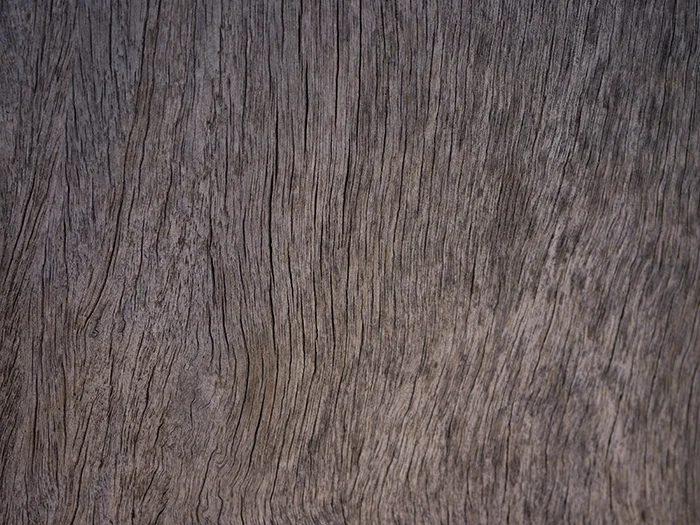 JPP_Timber2_Small.jpg