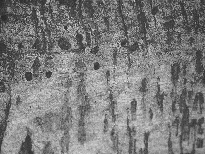 JPP_BoreHoles_Small.jpg