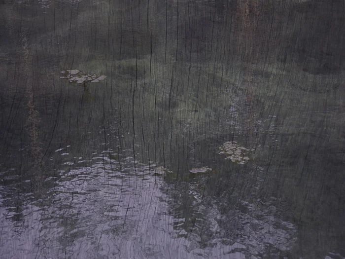 JPP_Wood&Water_Small.jpg