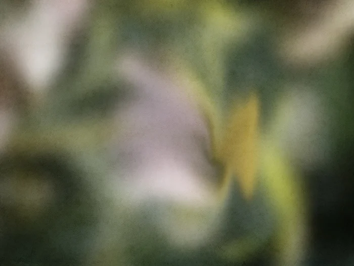 JPP_Soft Greens_Small.jpg