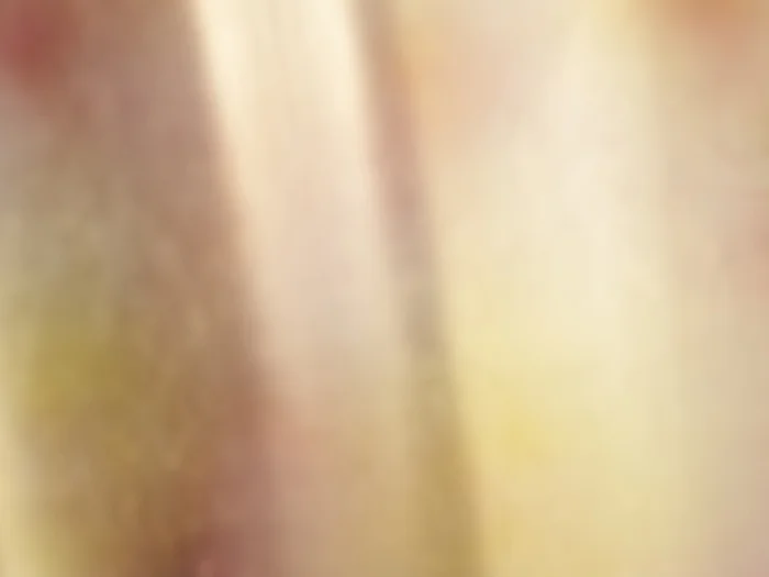 JPP_Sunbeams_2_Small.jpg