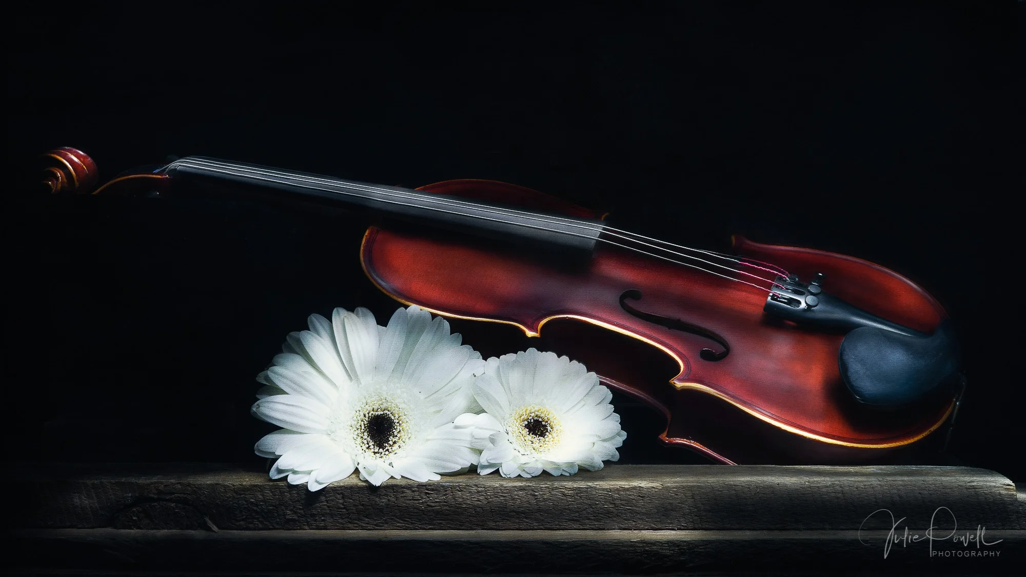 violin2.jpg
