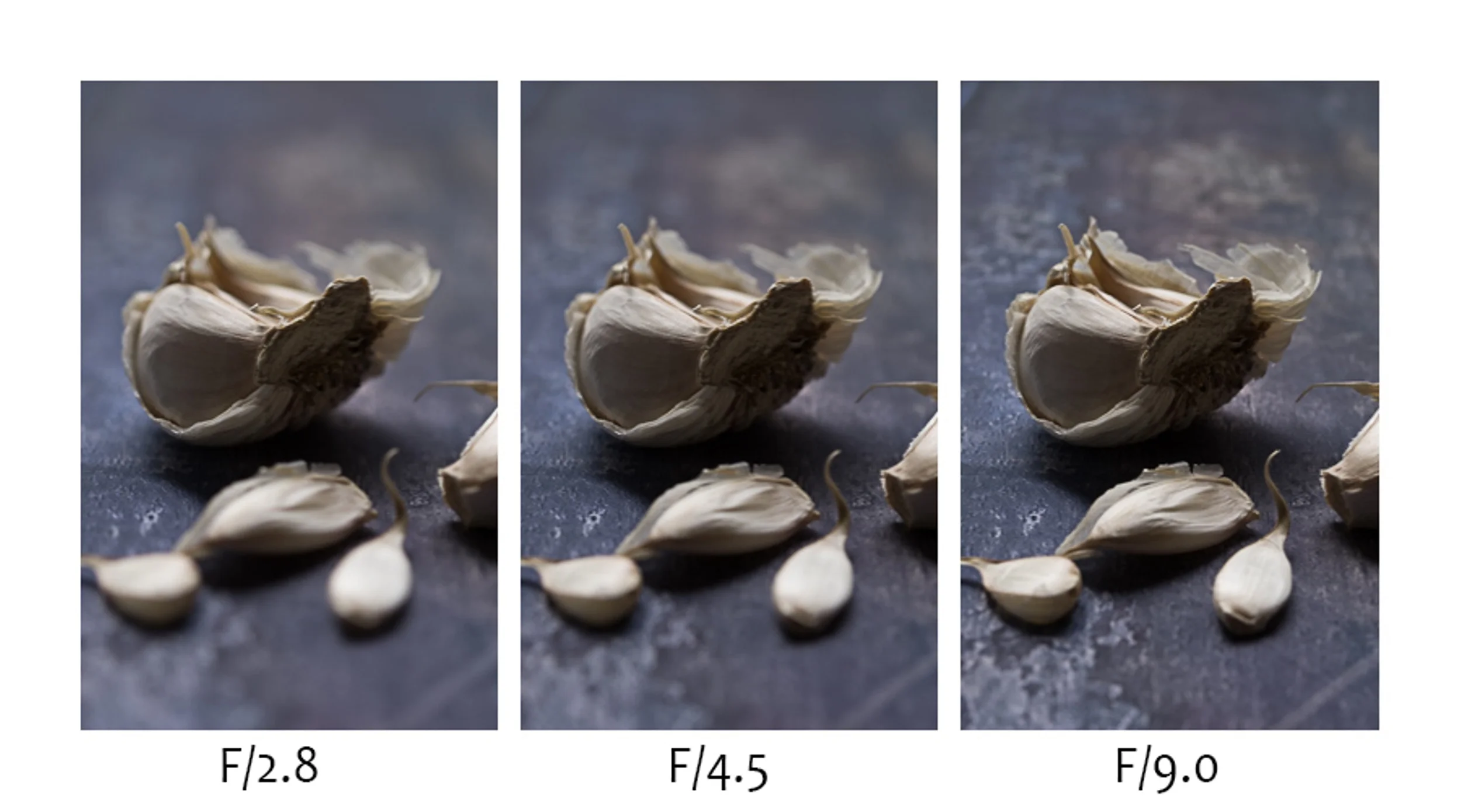 DoF1.jpg