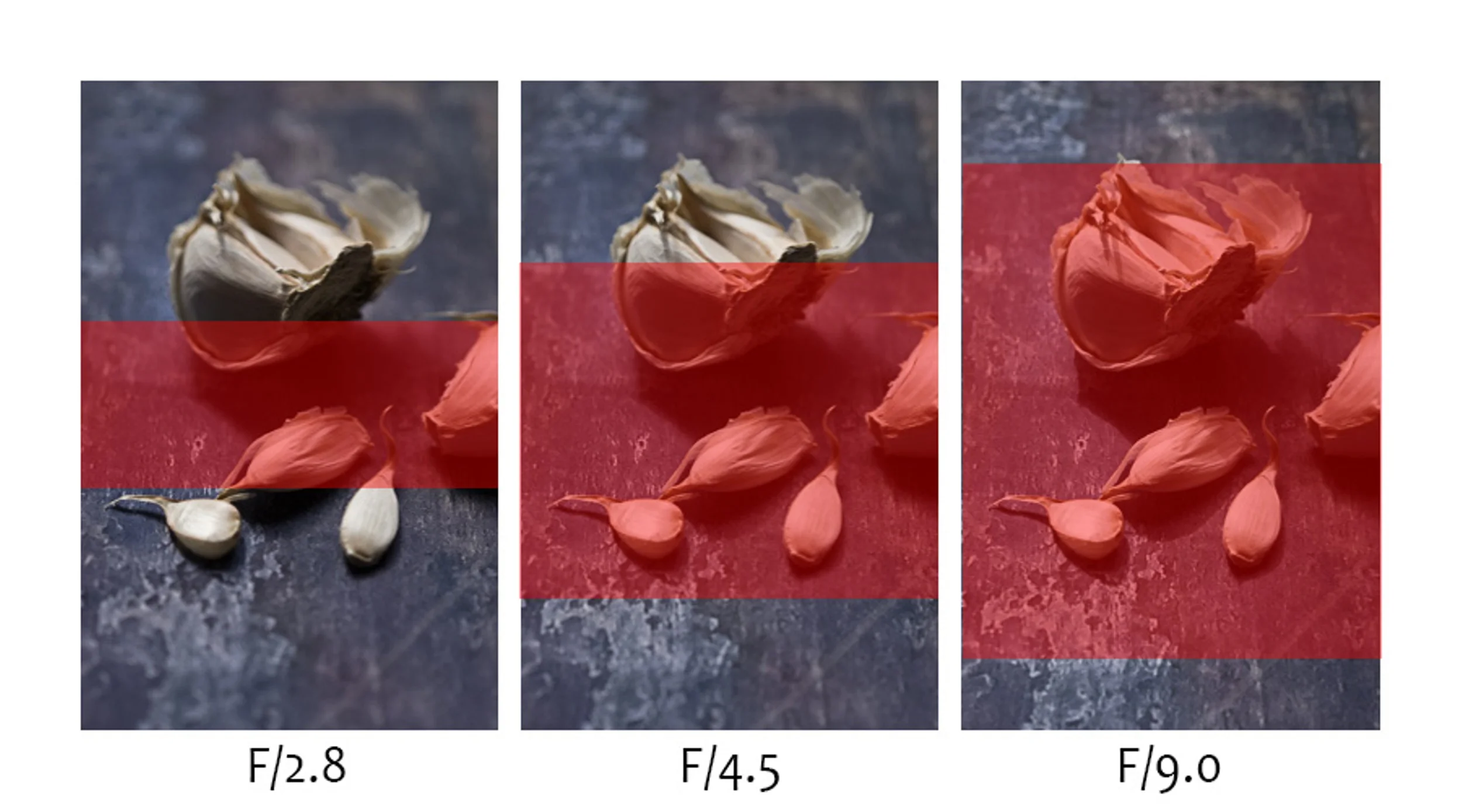 Plane of Focus.jpg