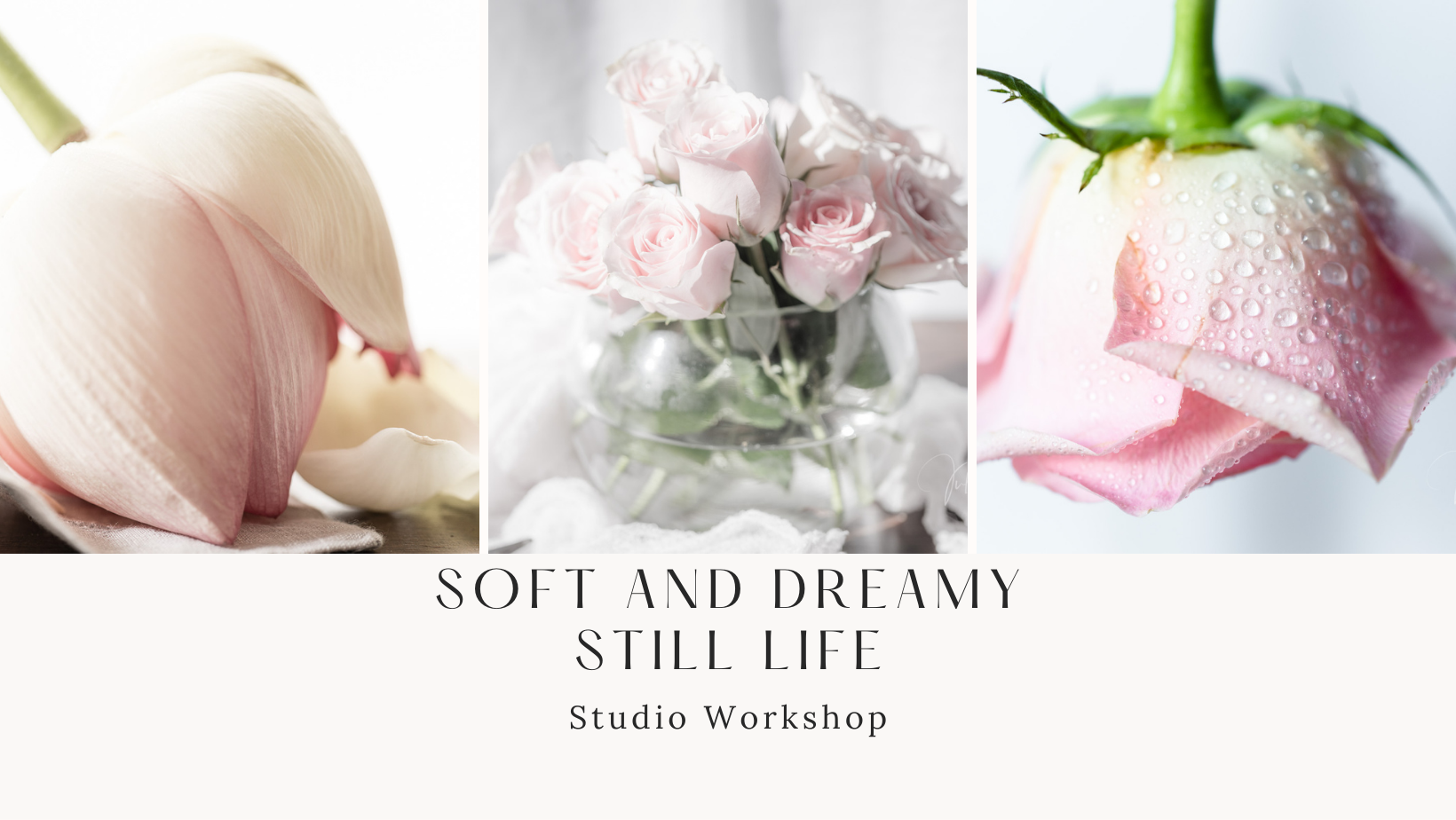 Soft and Dreamy Still Life Workshop
