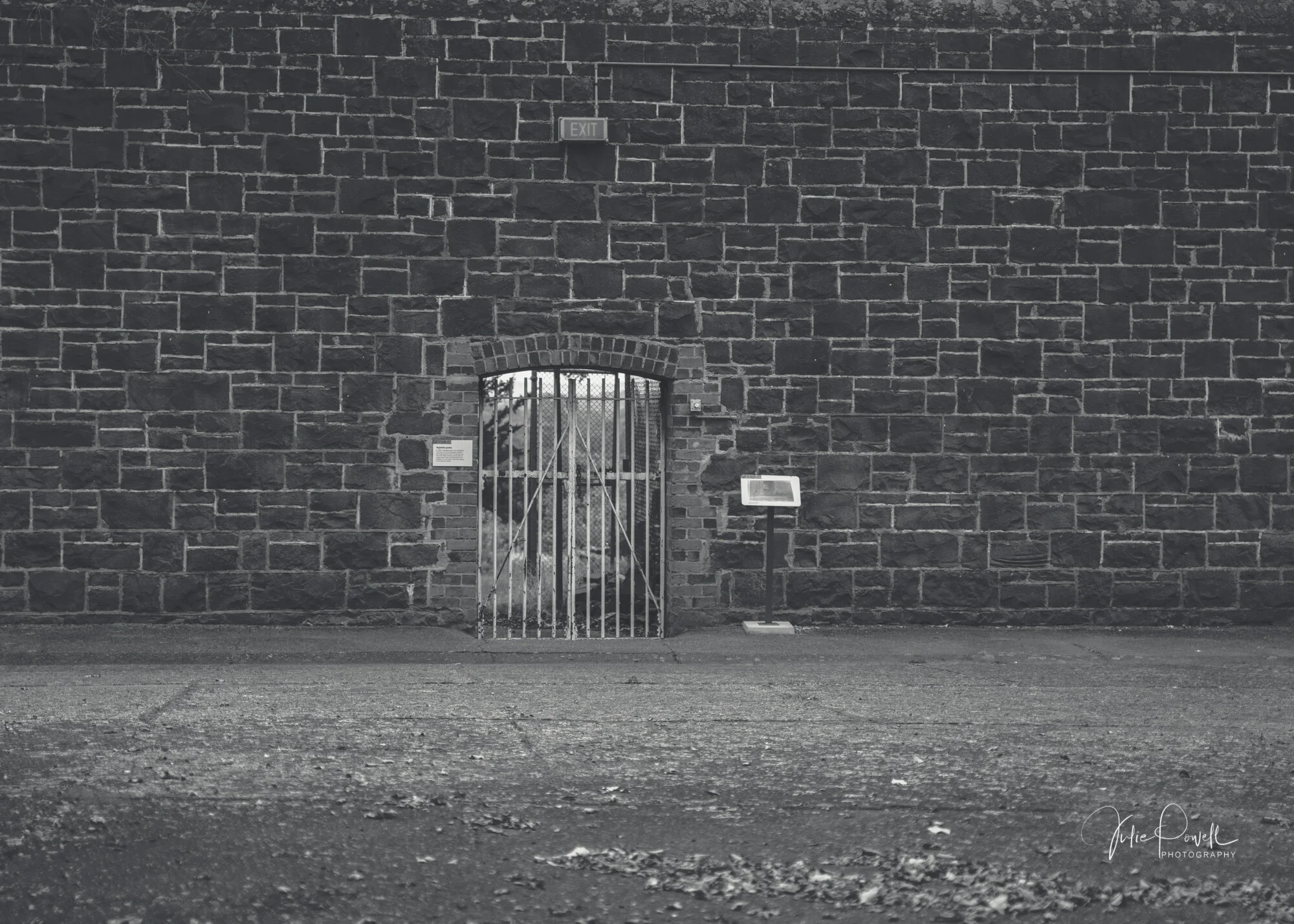 Still Life Photography, Narre Warren, Photography, Julie Powell, Still