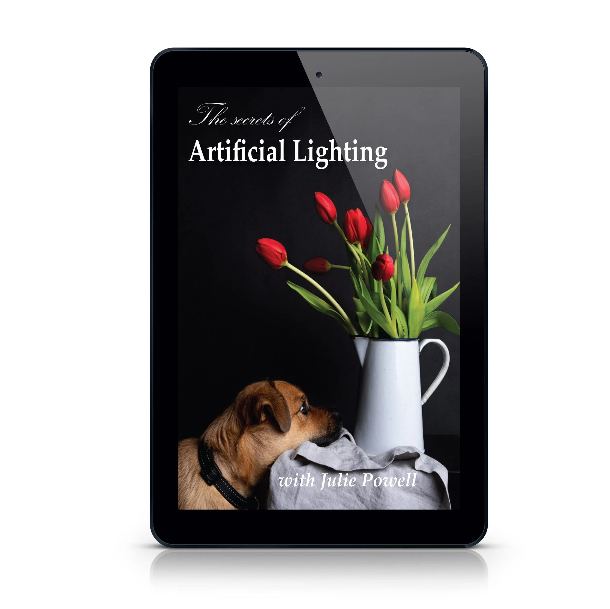 Sectrets of Lighting book cover.jpg