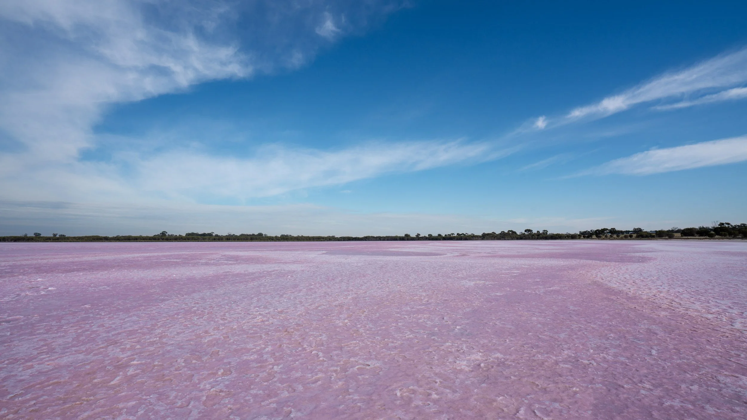 How to straighten horizon lines in Luminar AI &amp; Neo