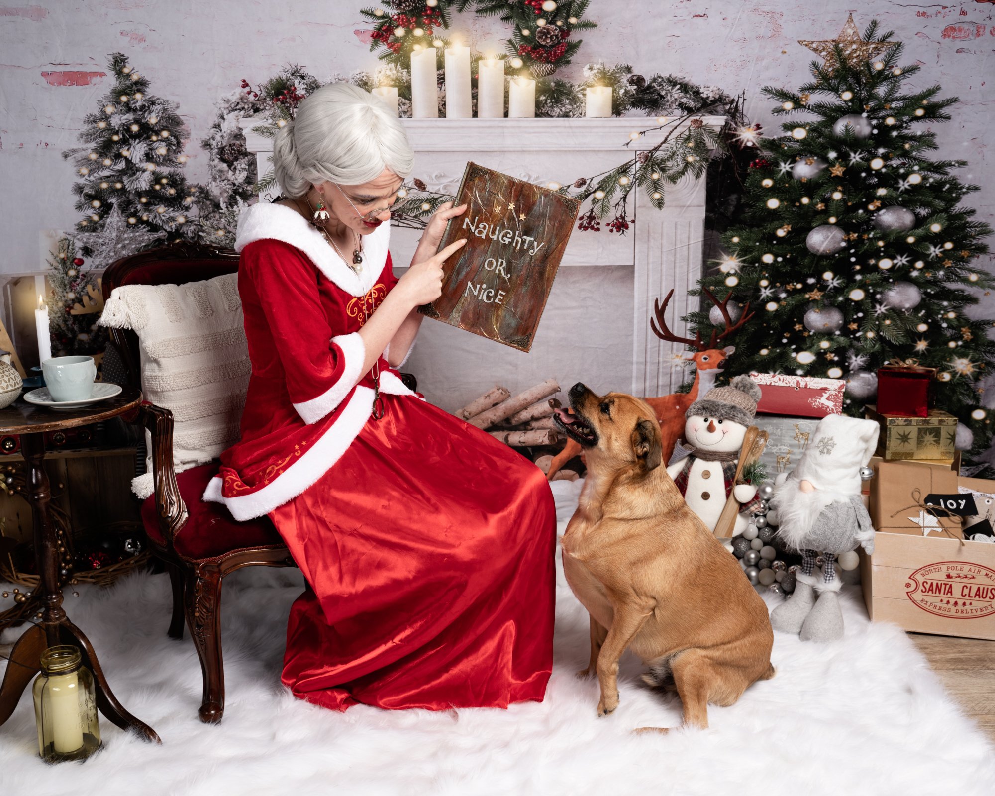 JuliePowell_Mrs Claus-12.jpg