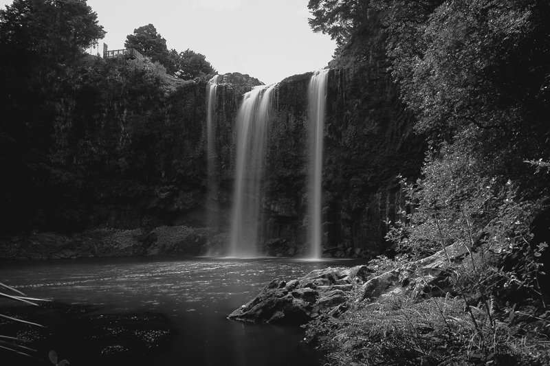 JuliePowell_Whangerei Falls-13.jpg