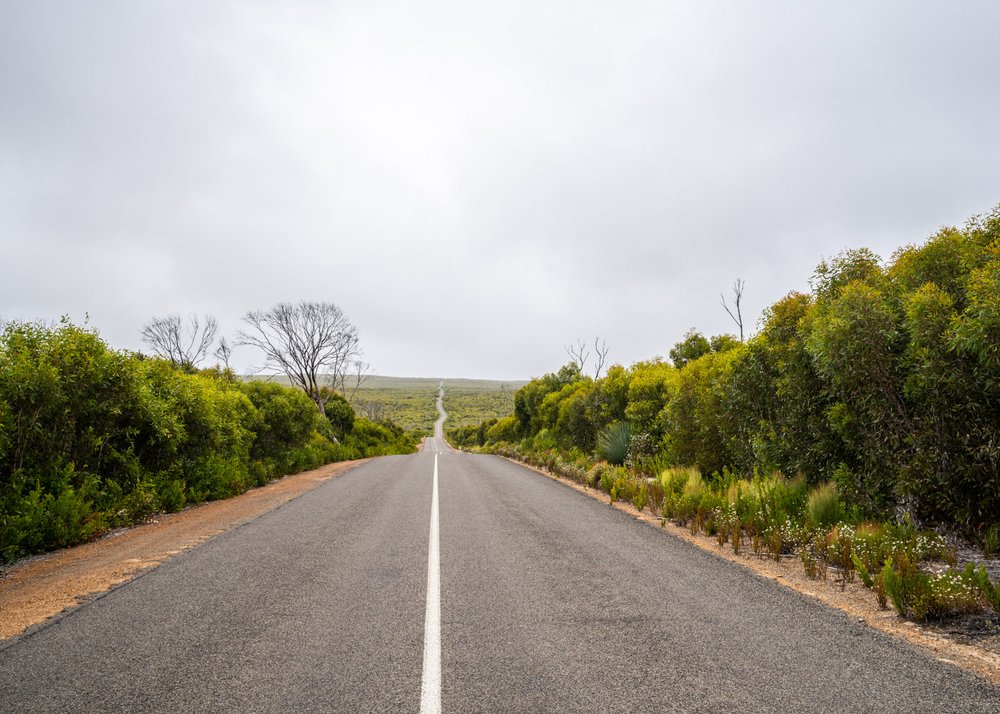 The road to The Chase National Park, SA