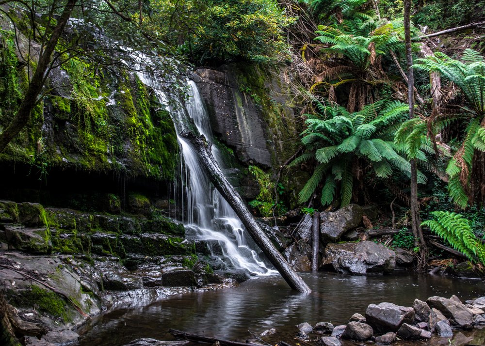 Falls, TAS