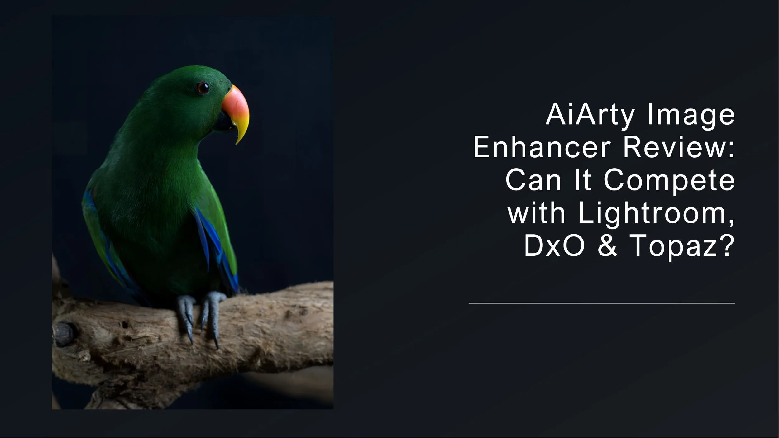 Aiarty Image Enhancer Review: Can It Compete with Lightroom, DxO &amp; Topaz?
