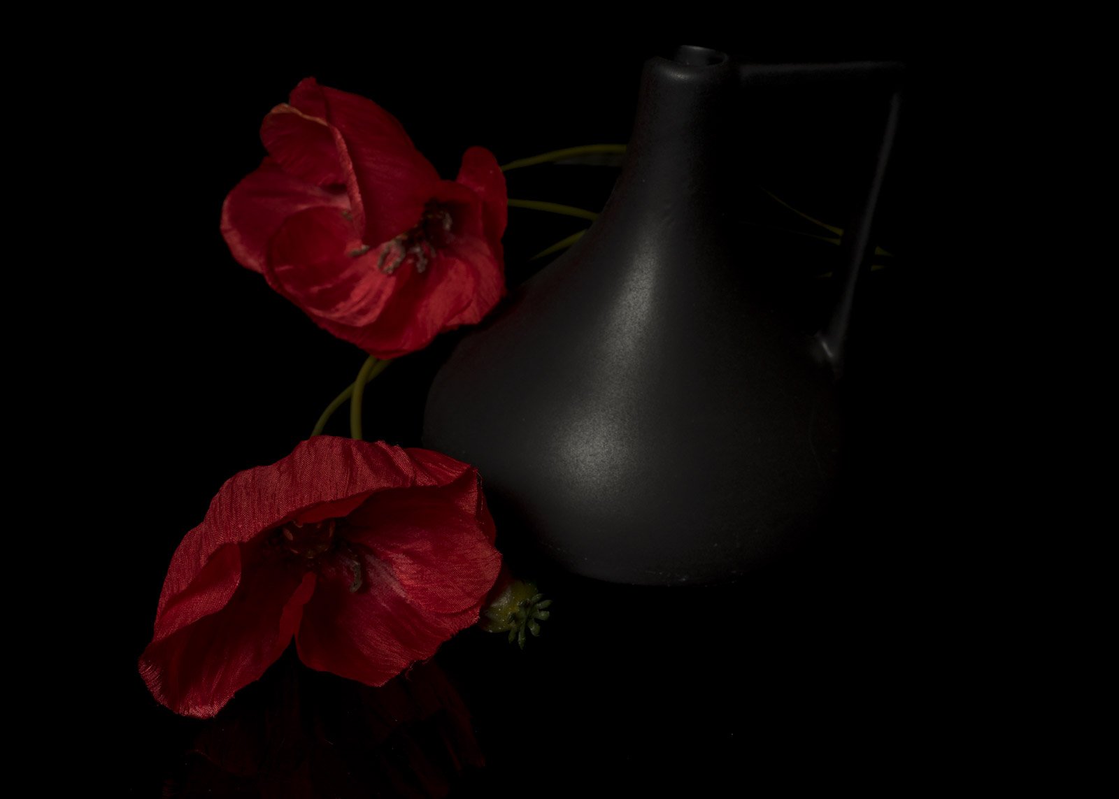Captured with NS1P and Q120 Flash