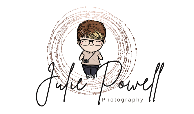 24th February 2025 | 7:30pm | Presentation | Julie Powell : ‘Still Life’ 24th February 2025 | 7:30pm | Presentation | Julie Powell : ‘Still Life’