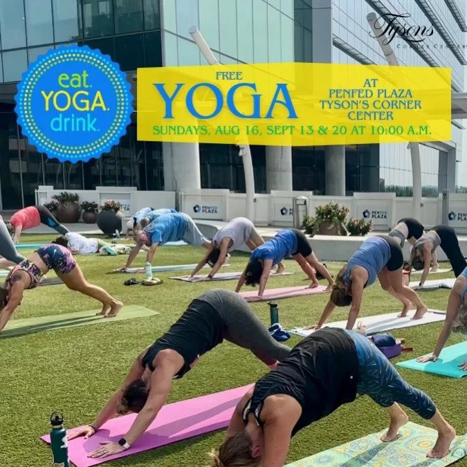 ✨ 𝔽ℝ𝔼𝔼 𝕐𝕆𝔾𝔸 𝕊𝕌ℕ𝔻𝔸𝕐! ✨

⏱️ 10:00 am on Sunday, August 16
📍 PenFed Plaza at @shoptysons 
📣 BYO mat 

𝙄𝙩&rsquo;𝙨 𝙚𝙖𝙨𝙮...𝙨𝙝𝙤𝙬 𝙪𝙥, 𝙨𝙩𝙧𝙚𝙩𝙘𝙝, 𝙨𝙖𝙫𝙤𝙧 𝙨𝙤𝙢𝙚 𝙨𝙚𝙡𝙛-𝙘𝙖𝙧𝙚.

Join us on PenFed Plaza of Tyson&rsquo;s 
