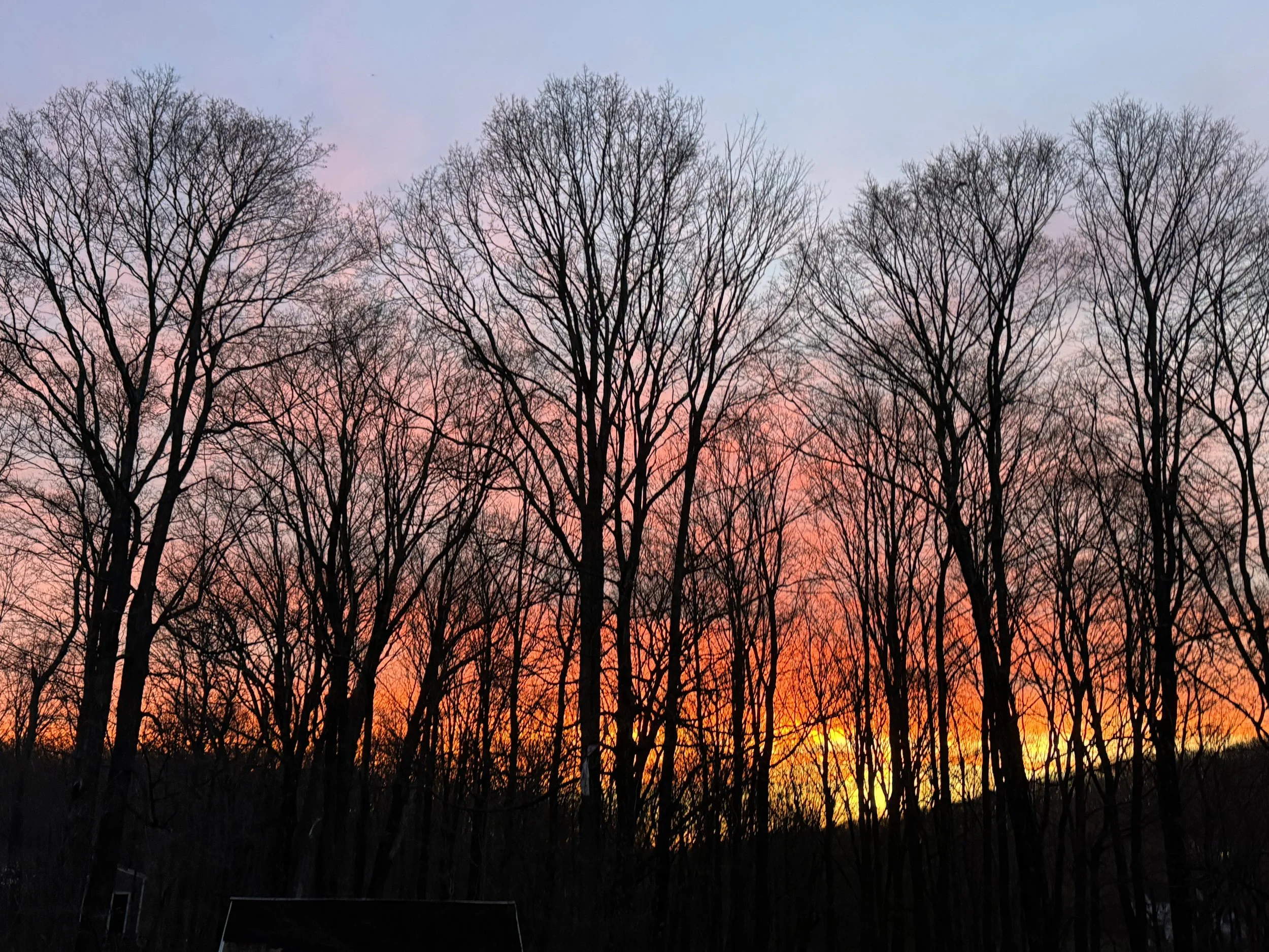 IMG_2552.jpeg