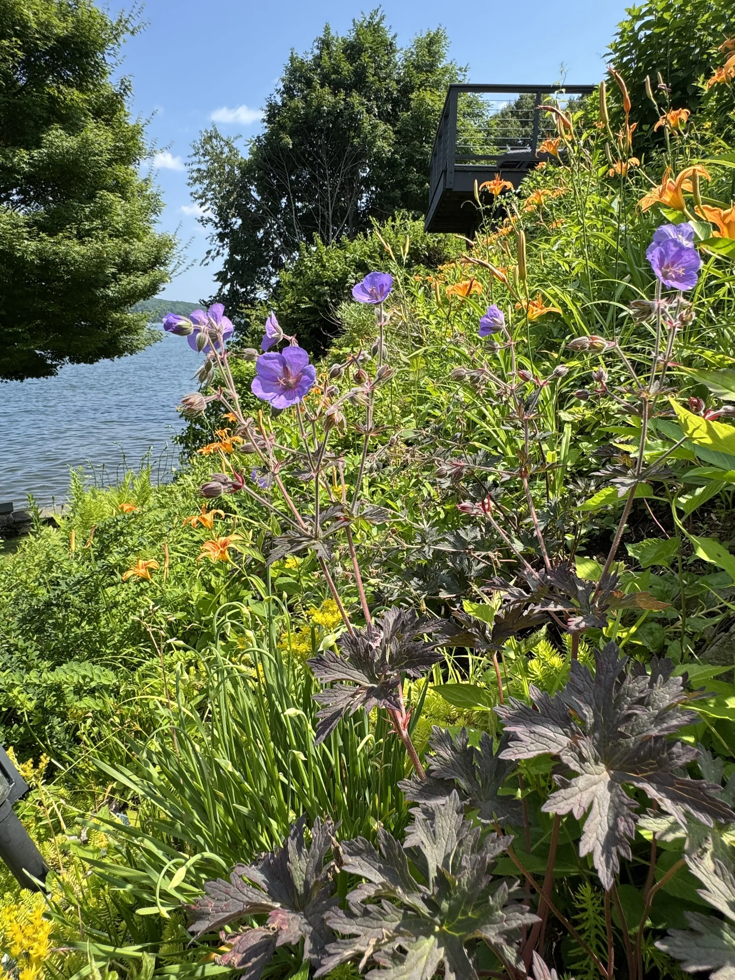 IMG_8657.jpeg
