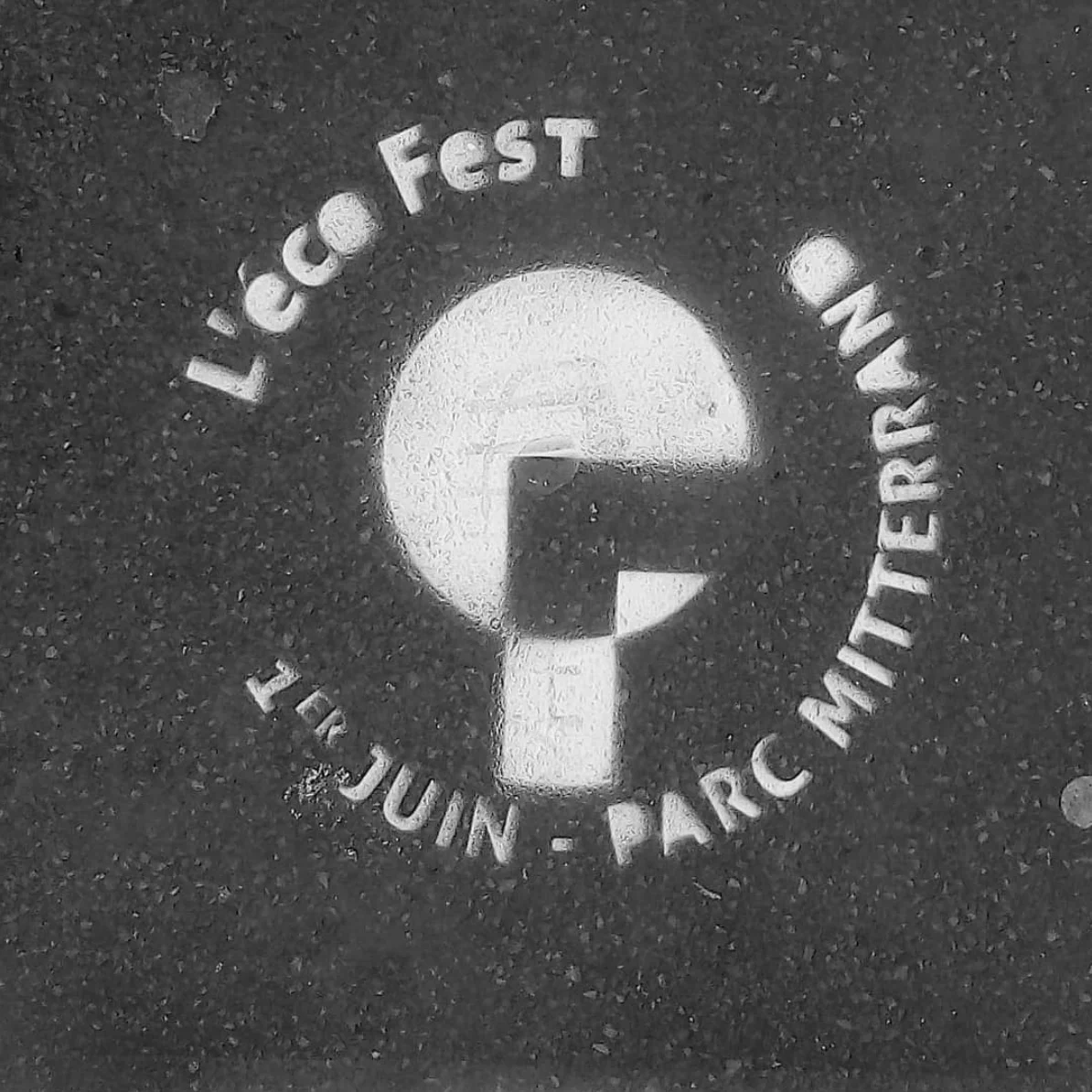 ecofest-rua.jpg