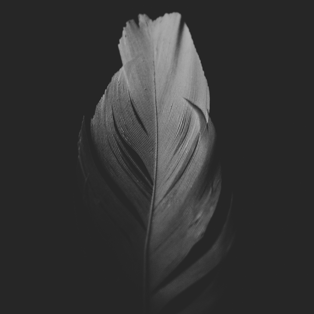 Feather Brows: The Secret To An Effortless, Natural Look