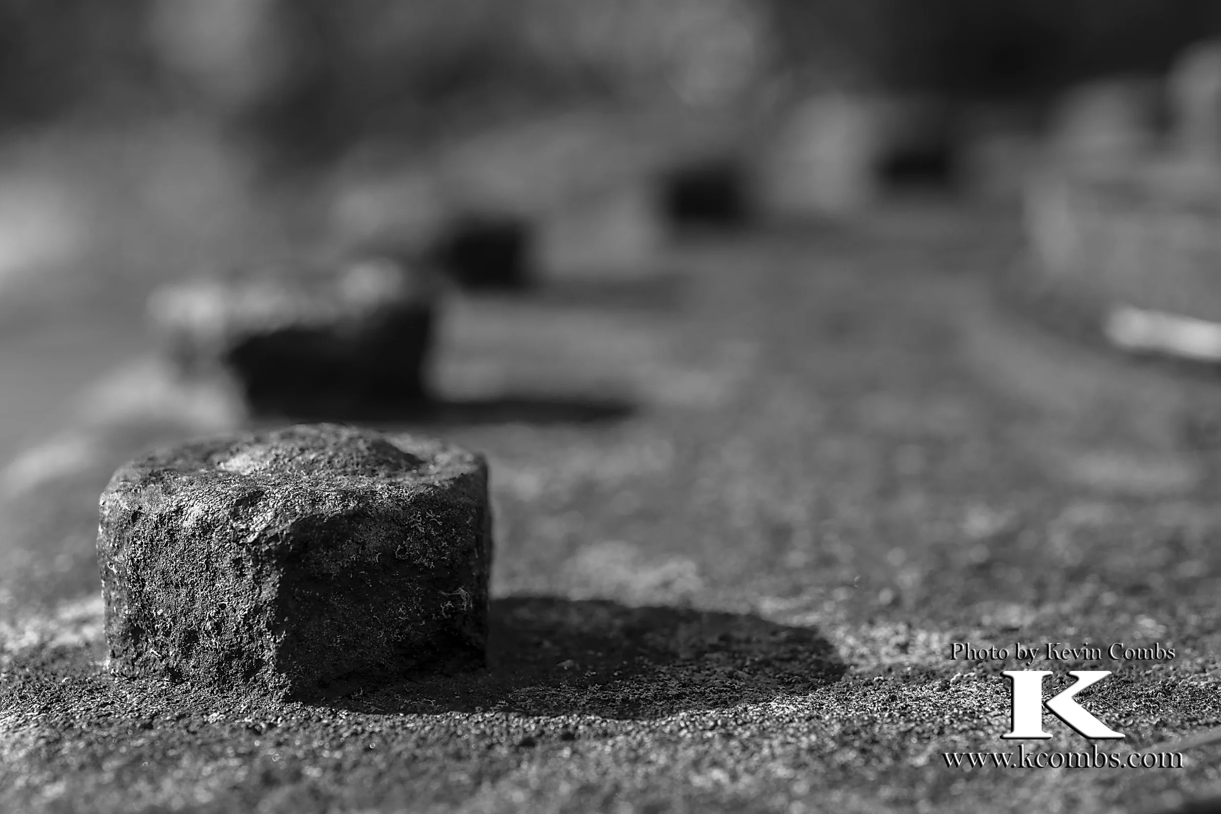 _DSC1754.jpg