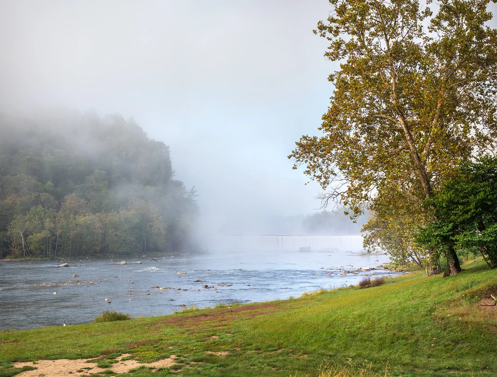 Untitled Da pan 1.jpg