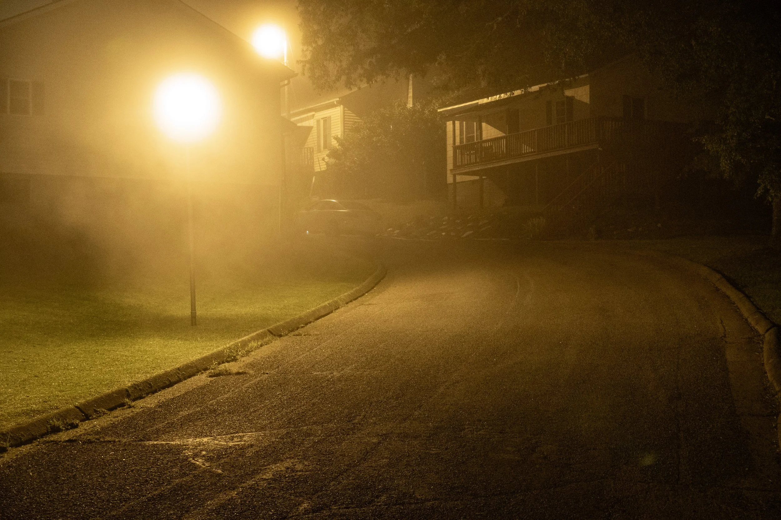 2023 09 22 Dark Fries_6661.jpg