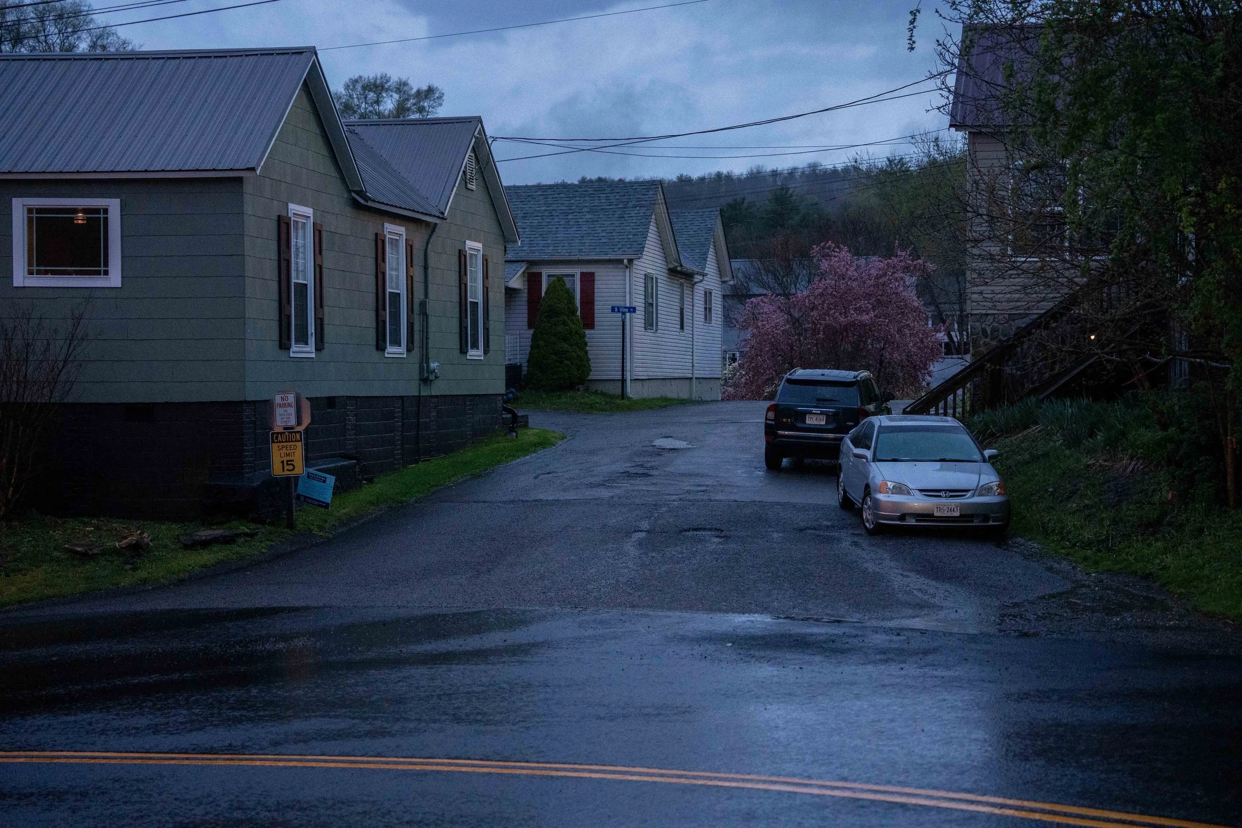 2025 04 07 Rainy morn-00433.jpg