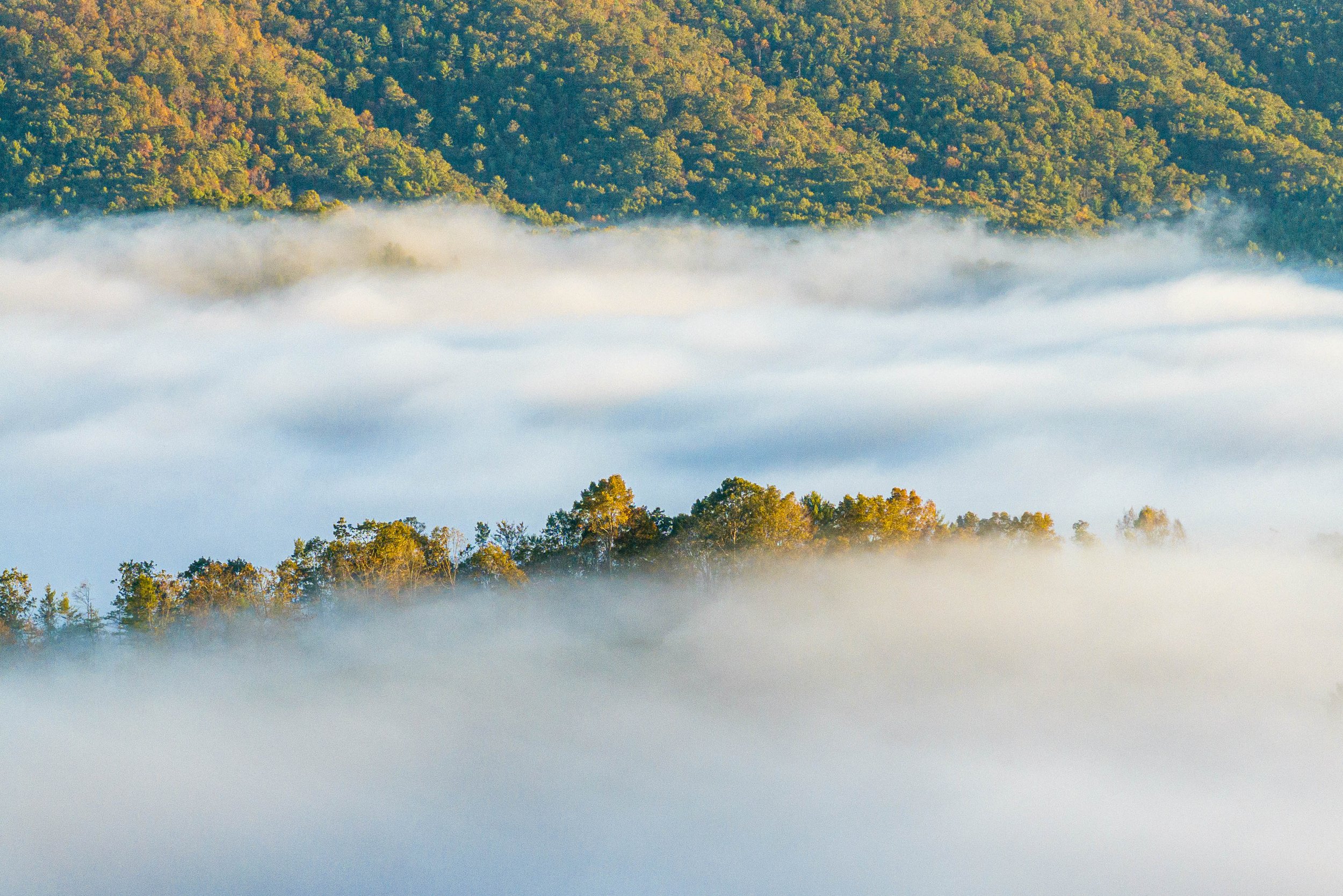 2024 10 09 Foggy mornings--10.jpg