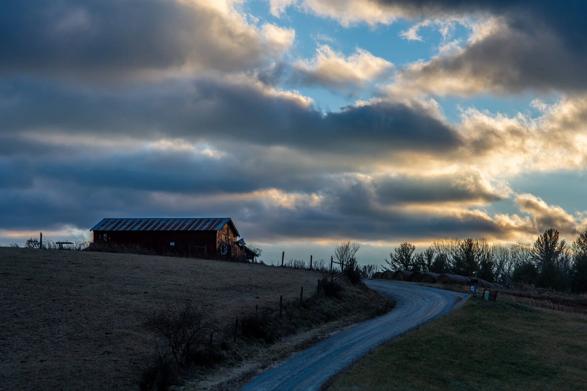 2023 12 06 Grayson_8645.jpg