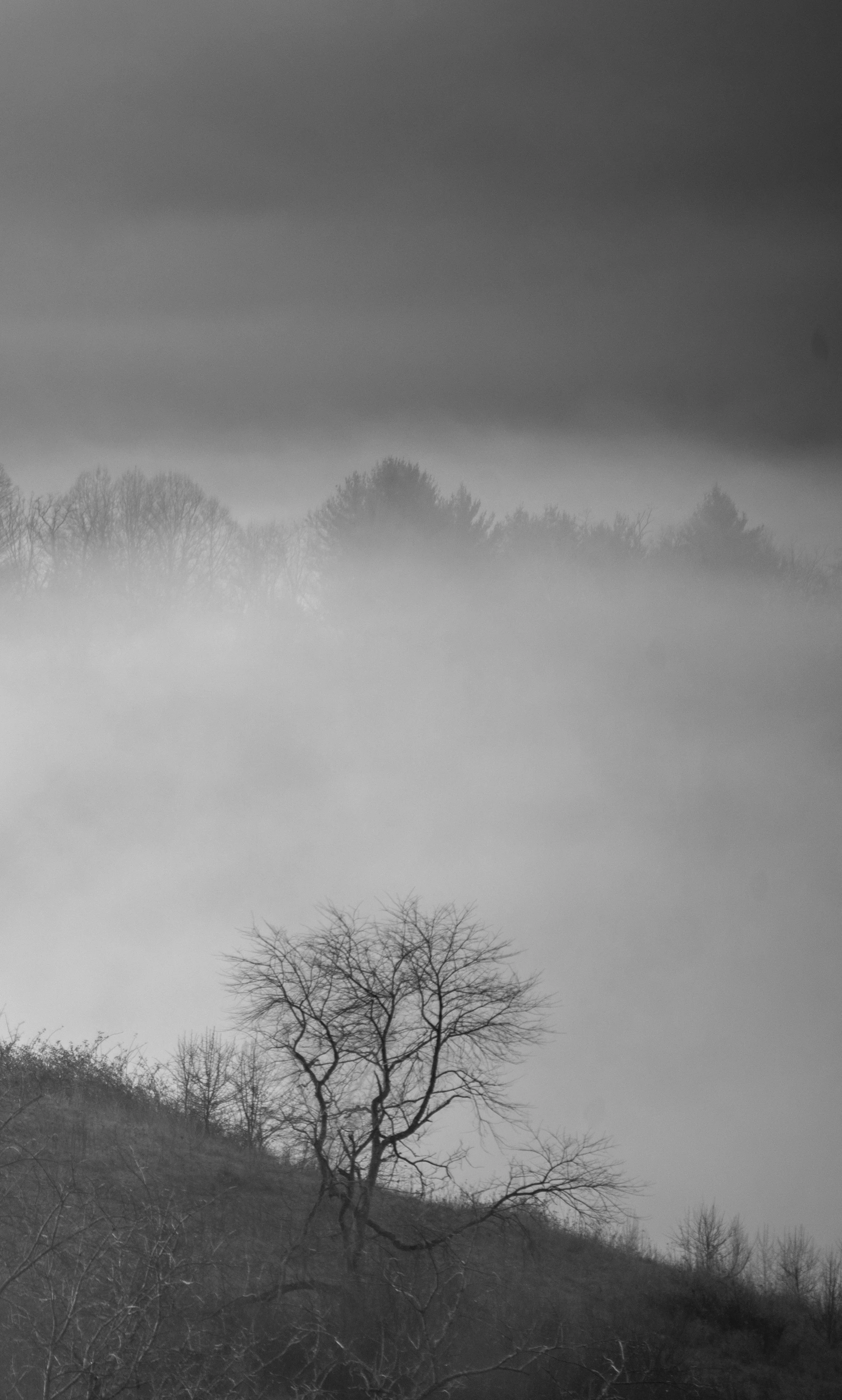 2021 12 30 Around Fries_0501.jpg