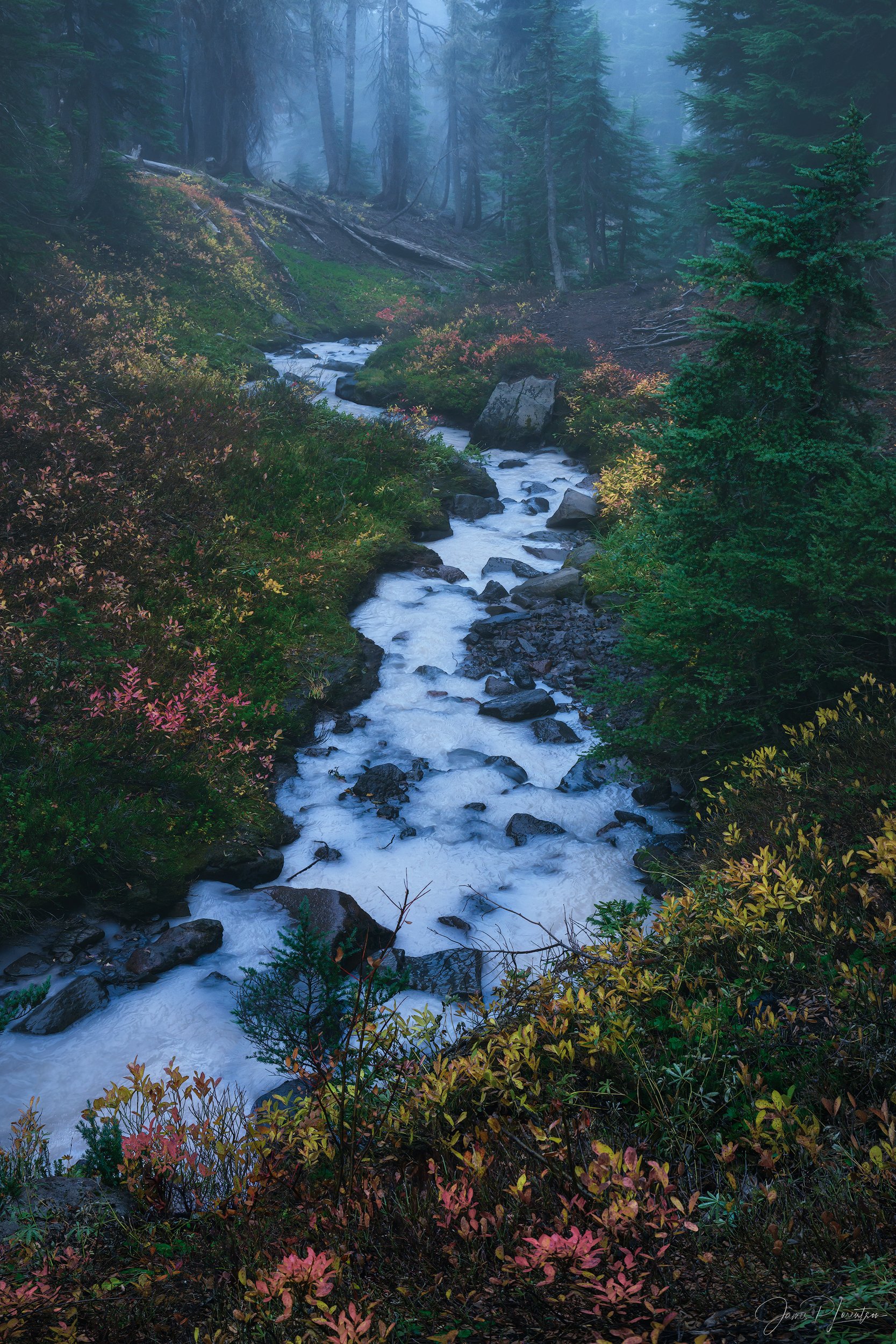 _NZ88995-2-sharpened.jpg