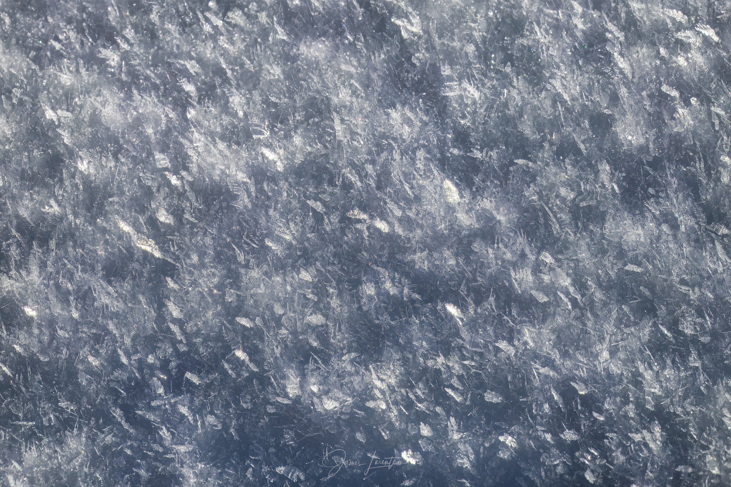 _PHO4028-Edit-sharpened.jpg