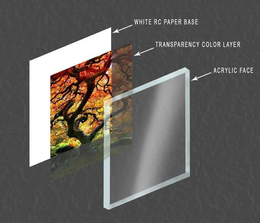 Lumachrome-Layers.jpg