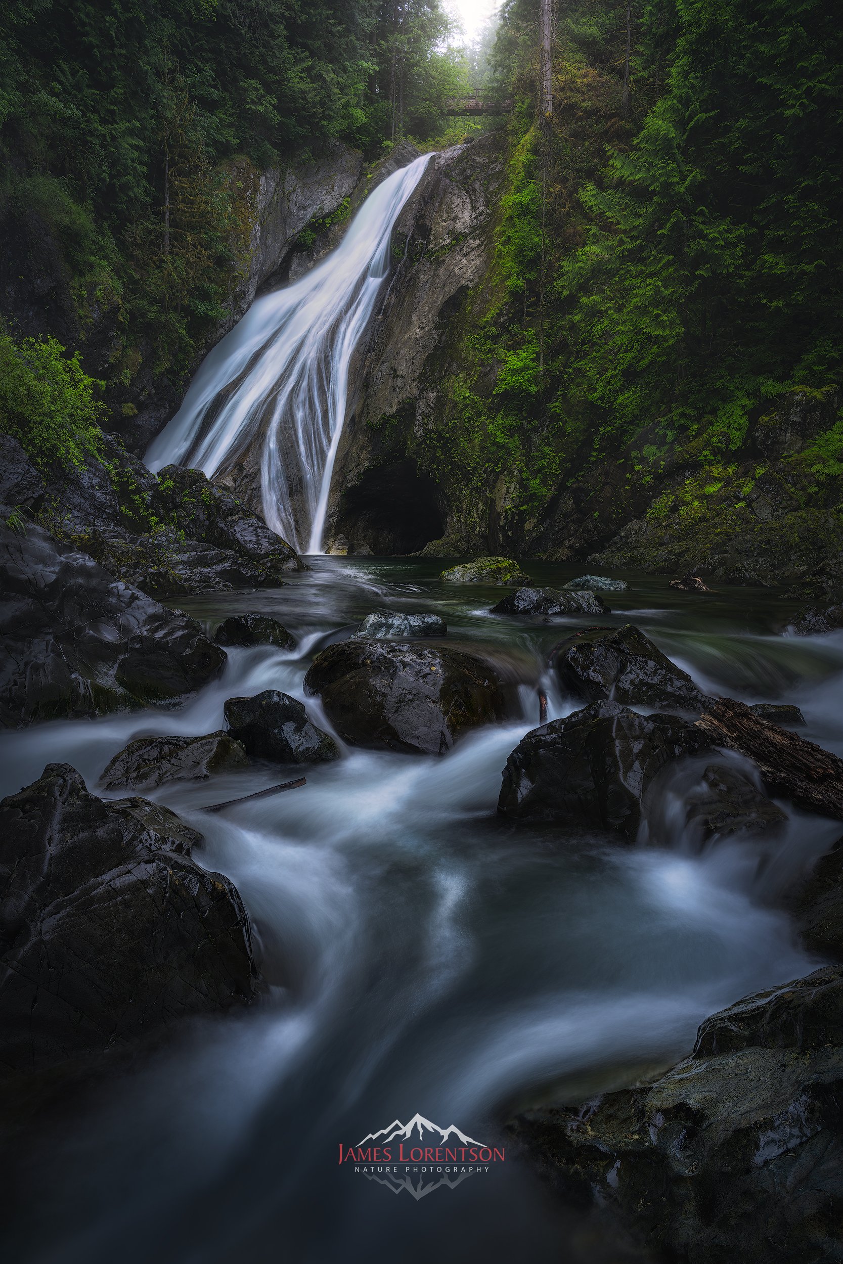 _NZ73528-Edit-sharpened.jpg