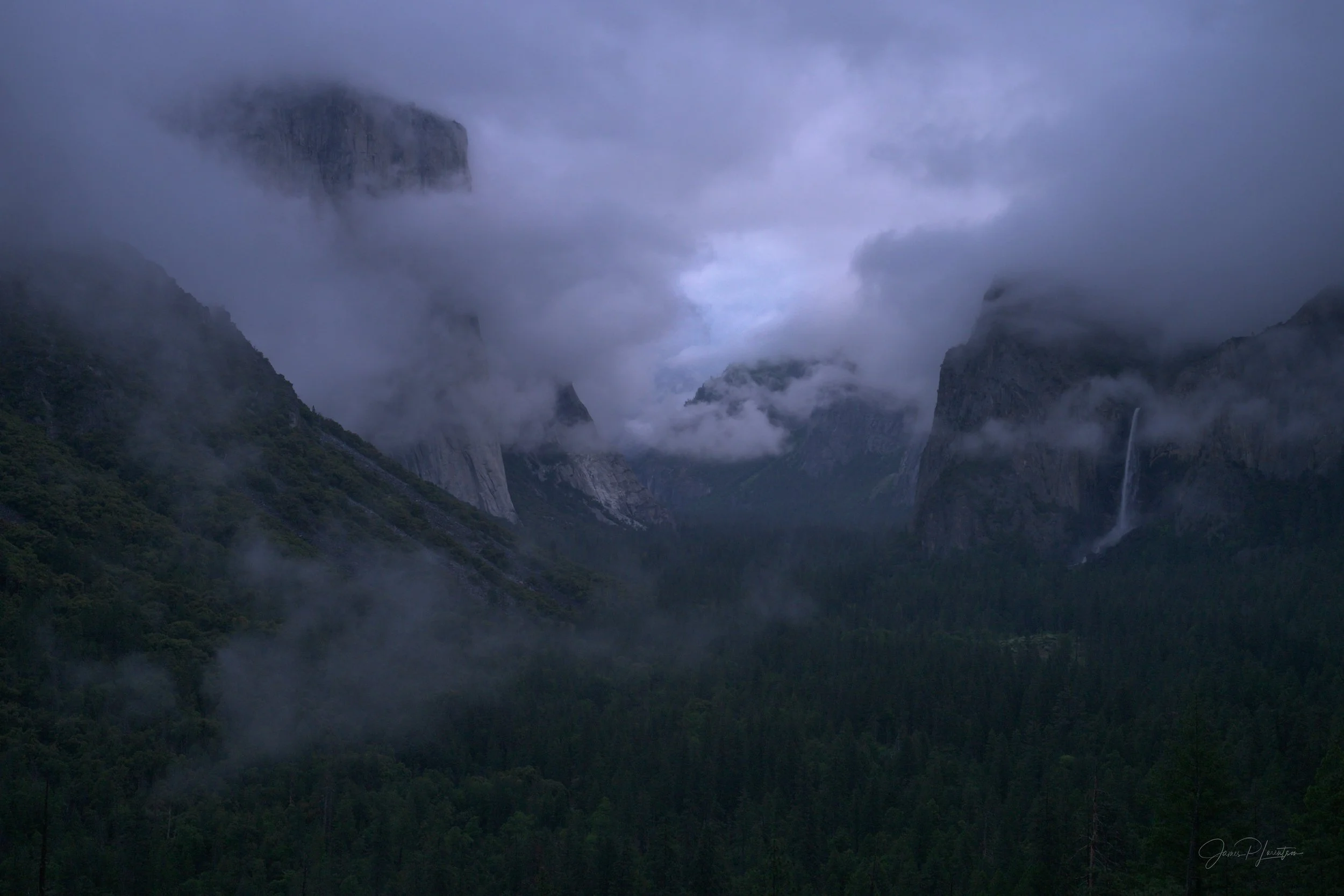 JamesL_Z8P3448.jpg