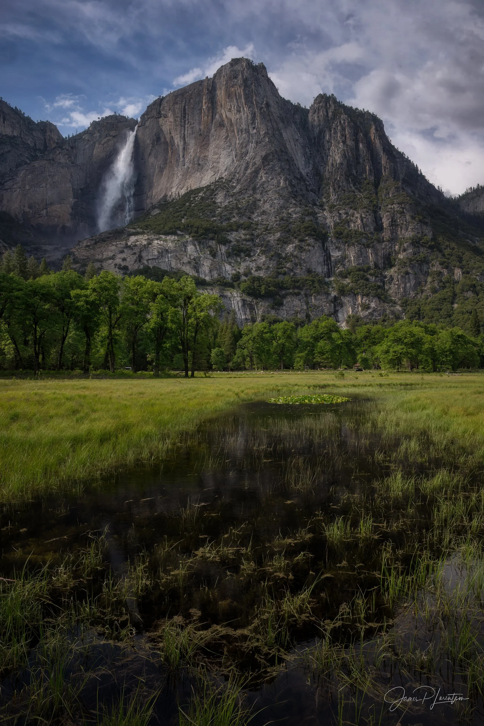 JamesL_Z8P3283-Edit.jpg